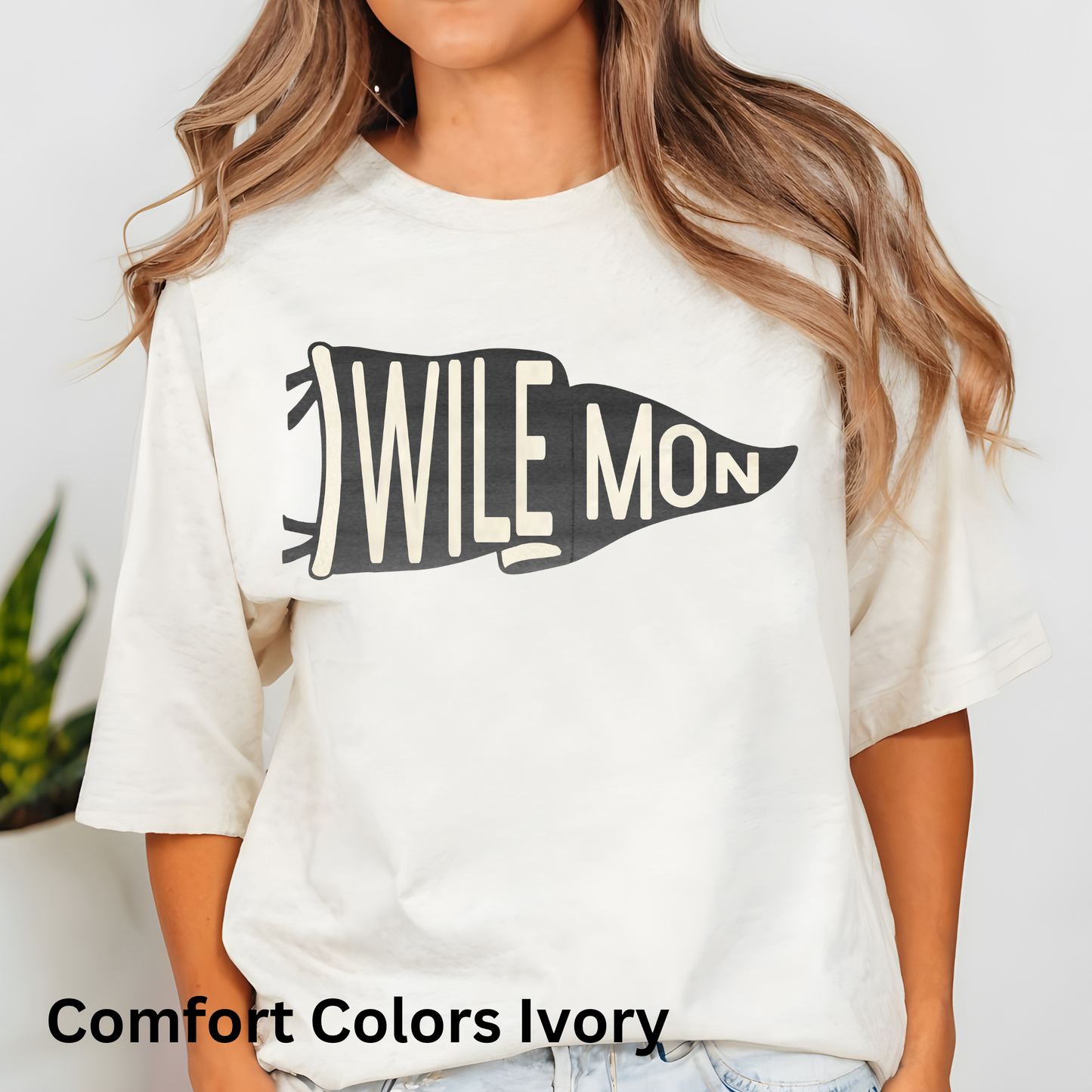 Wilemon Pennant